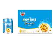 太子奶高钙核桃复合蛋白饮品250ml×16罐